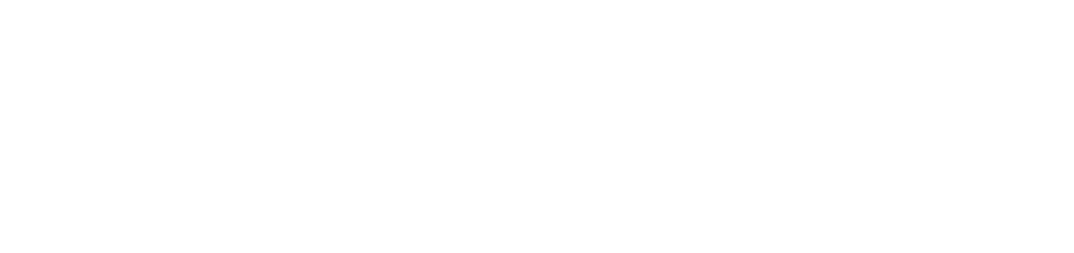 VegasNova logo